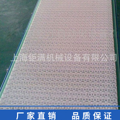 100P進口原料塑料網(wǎng)帶